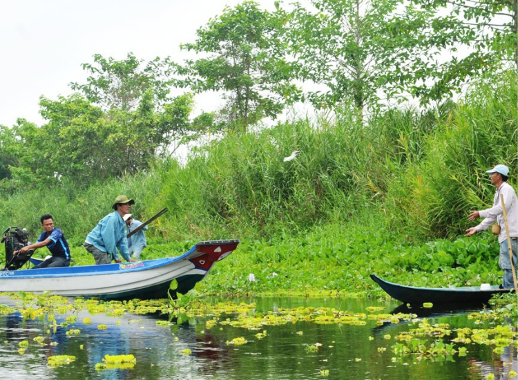 Du khách đi xuồng xuyên rừng tràm khám phá rừng U Minh Hạ Cà Mau